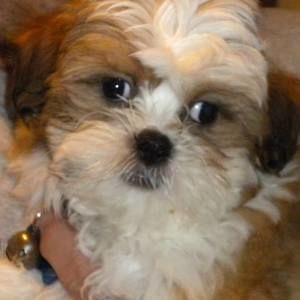 Meet your Posher, Kathleen